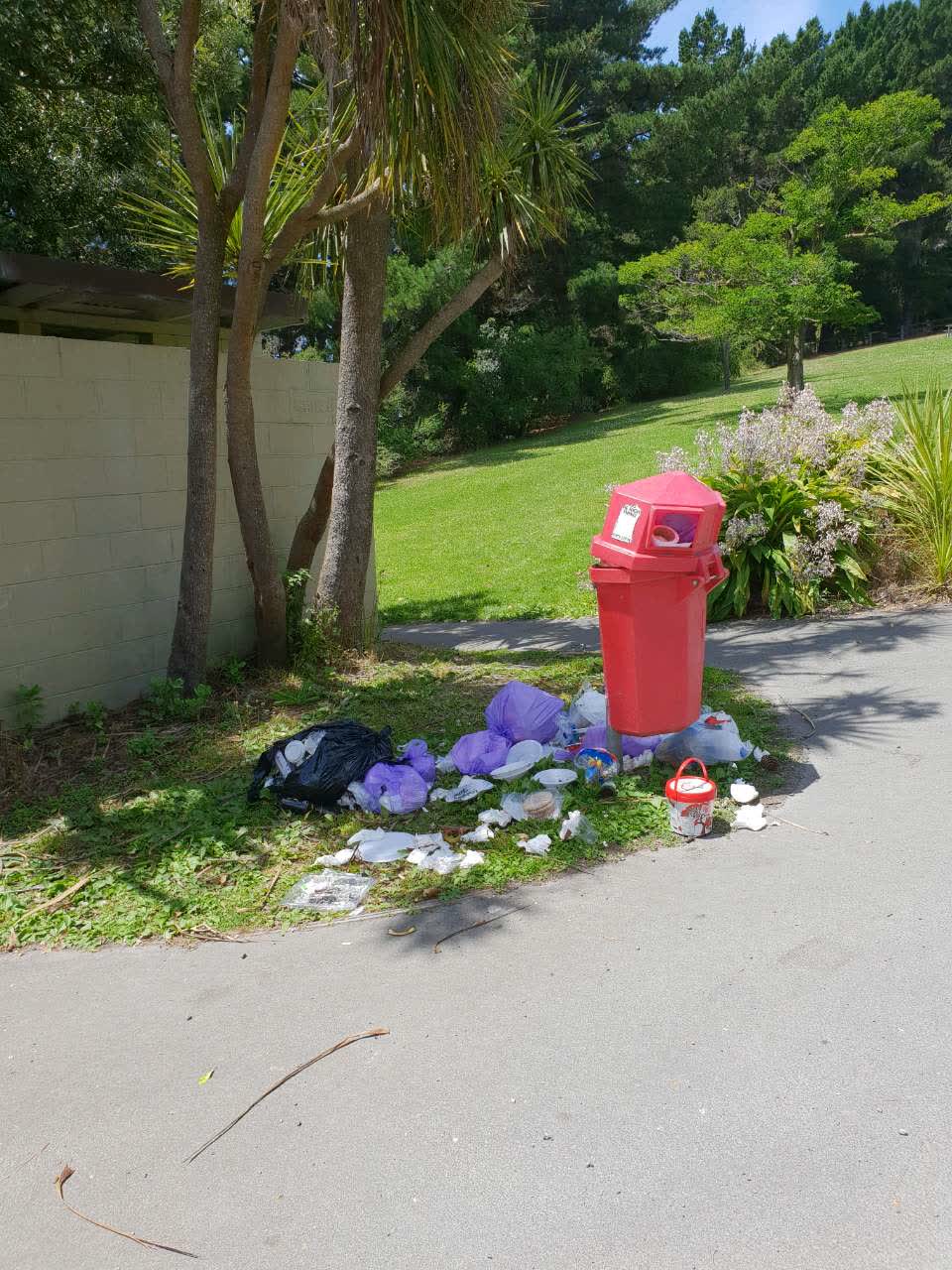 The photograph attached to this rubbish/recycling report