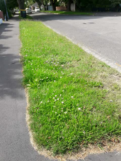 Roading/Streets, a report photo