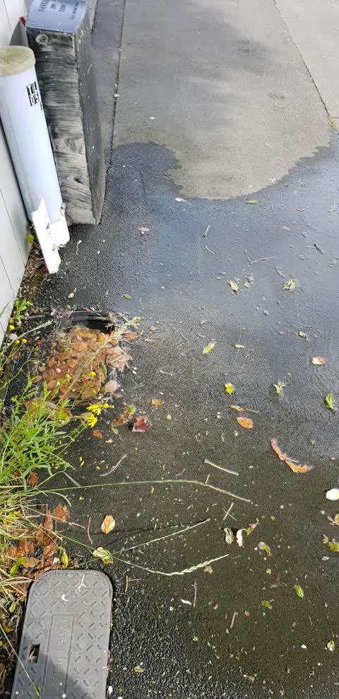 Wastewater/Stormwater, a report photo