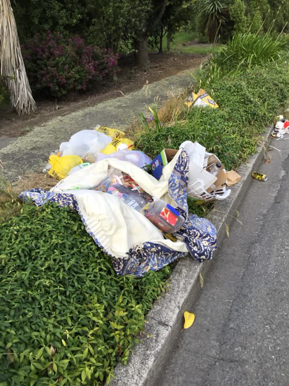 The photograph attached to this rubbish/recycling report