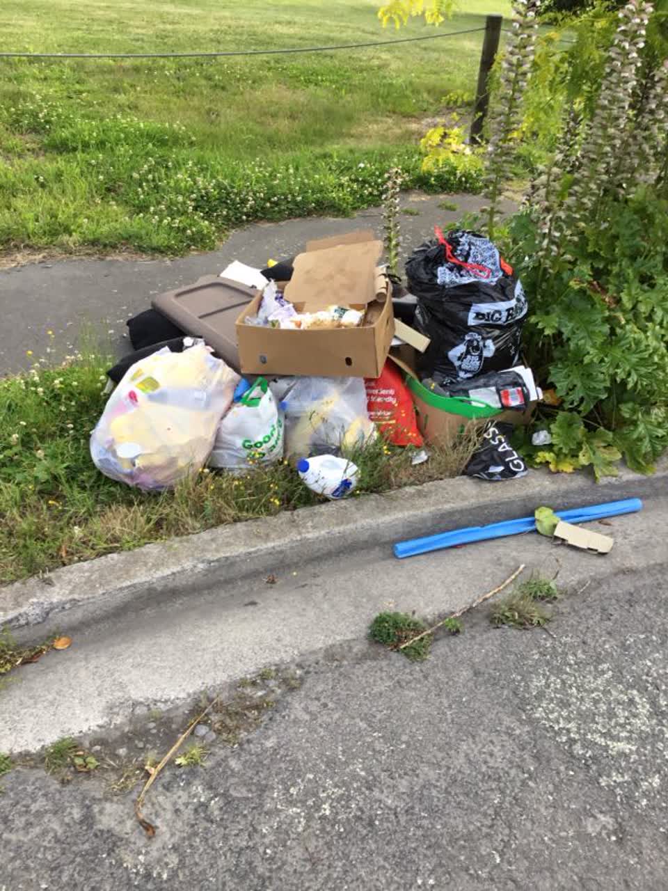The photograph attached to this rubbish/recycling report