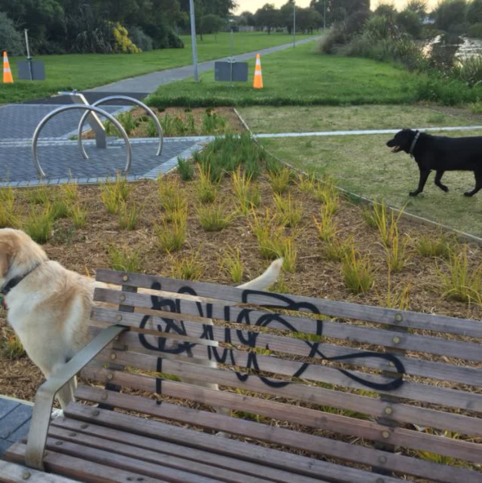 The photograph attached to this graffiti report