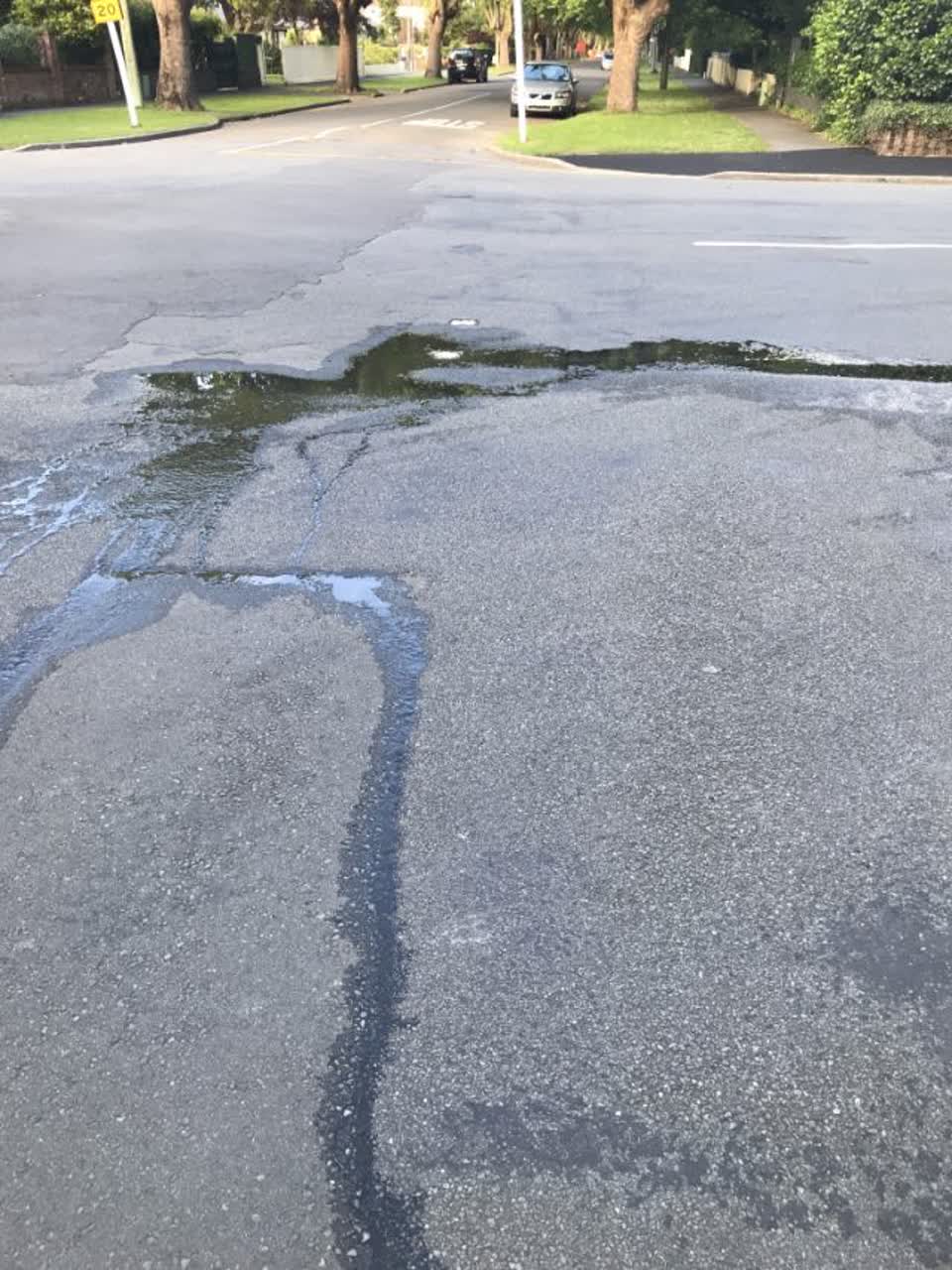 The photograph attached to this water supply report
