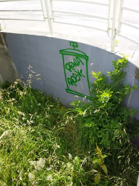 Graffiti, a report photo