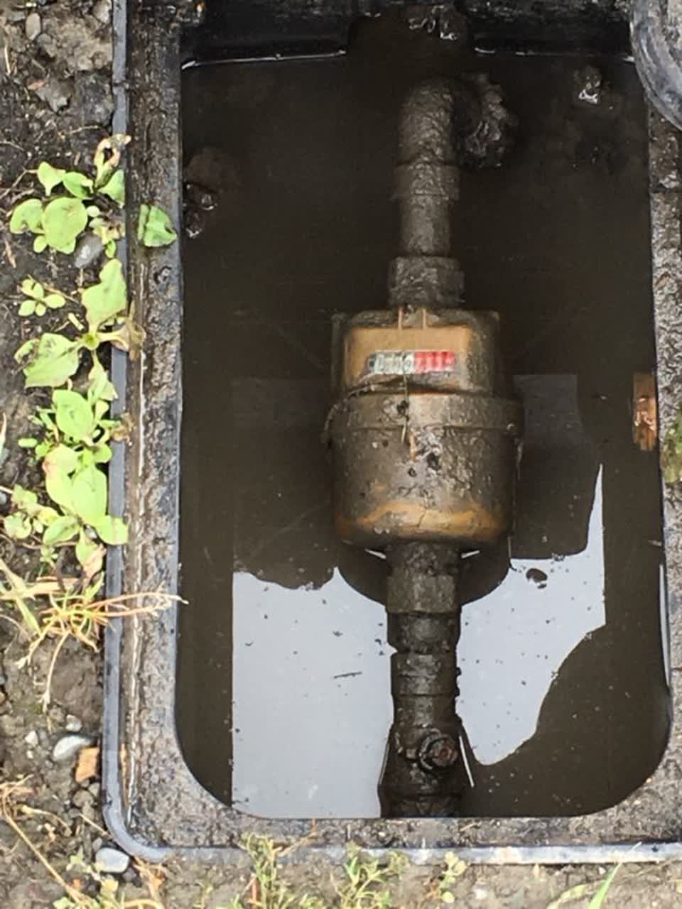 The photograph attached to this water supply report
