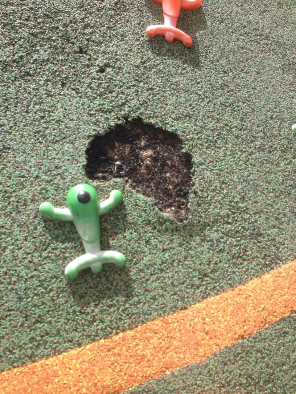 The photograph attached to this parks report