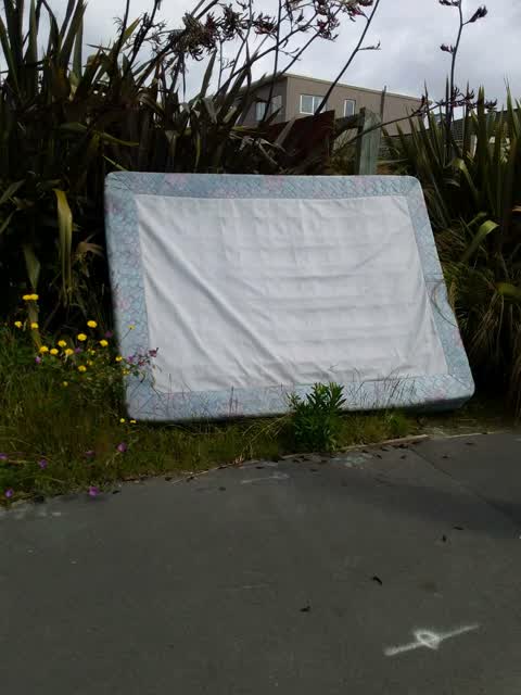 Rubbish/Recycling, a report photo