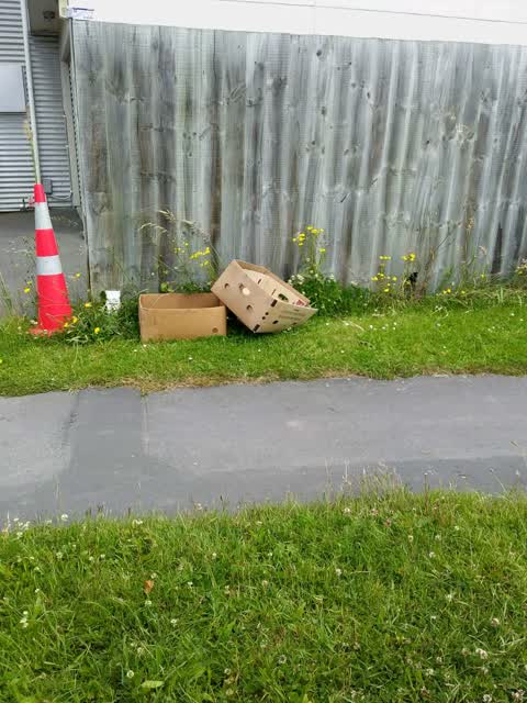 Rubbish/Recycling — a report photo
