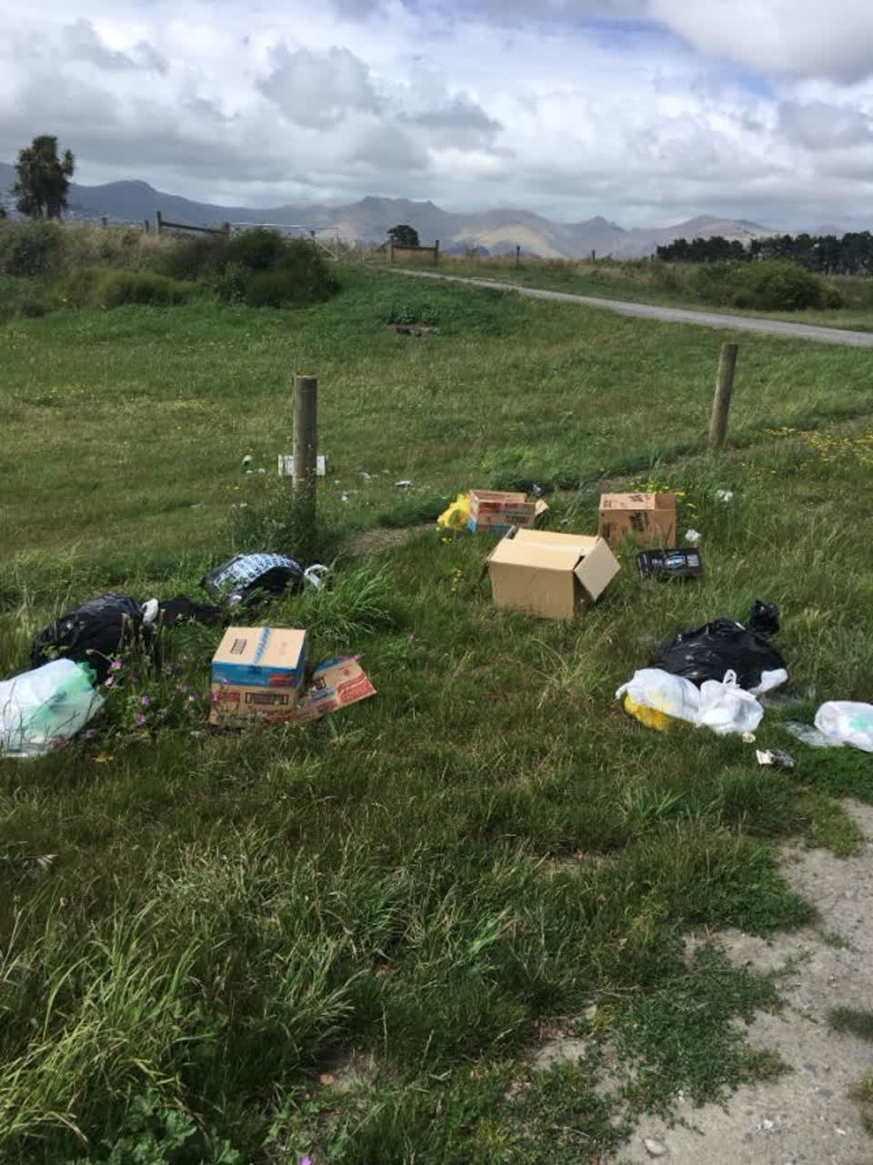 The photograph attached to this rubbish/recycling report