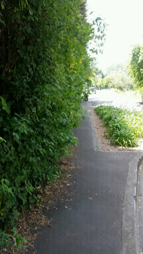 Roading/Streets, a report photo