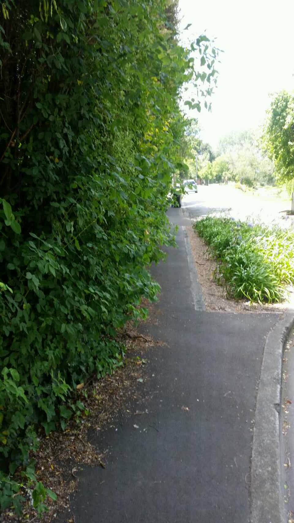 The photograph attached to this roading/streets report