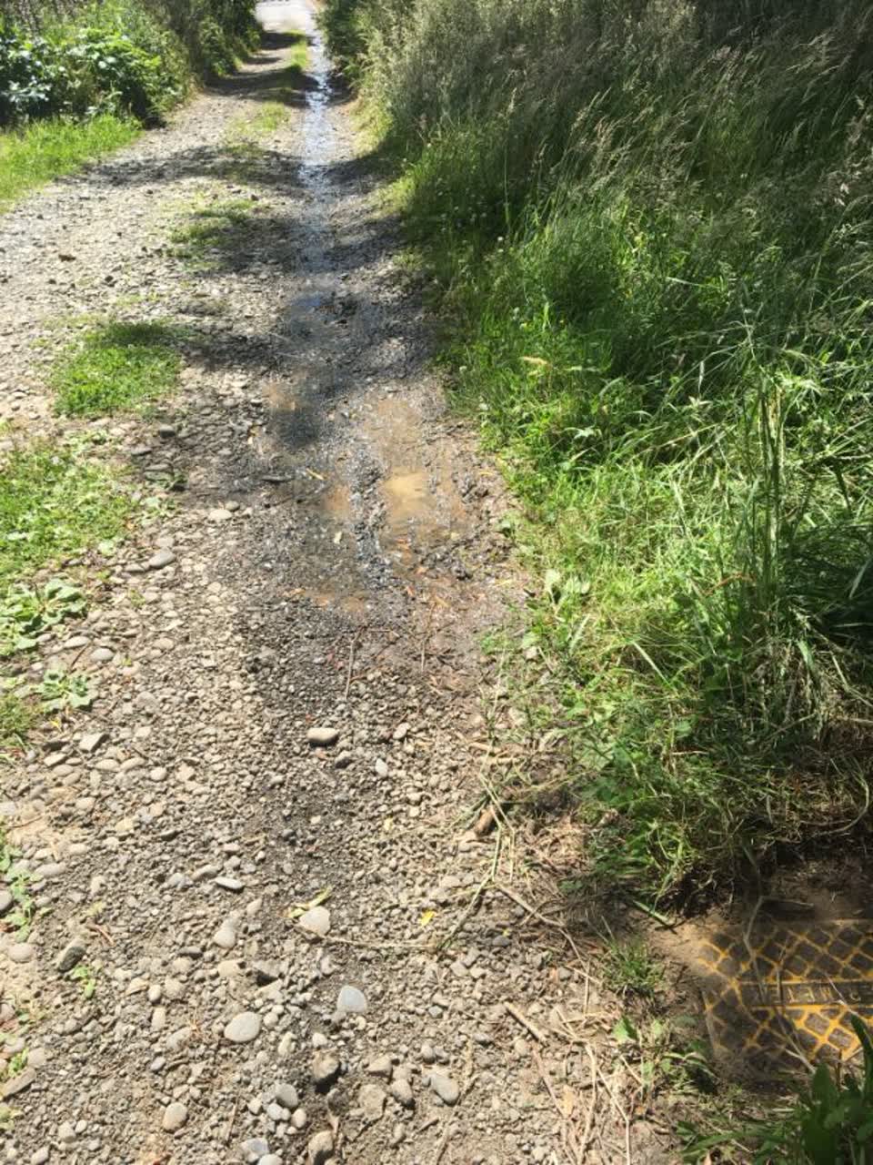 The photograph attached to this roading/streets report