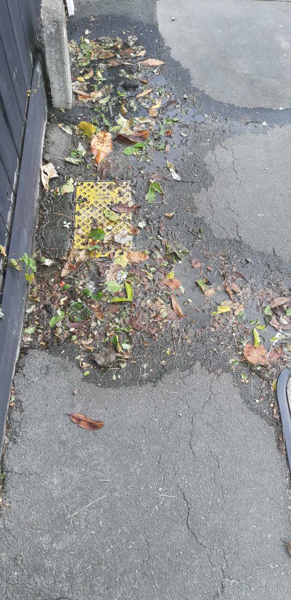 The photograph attached to this water supply report
