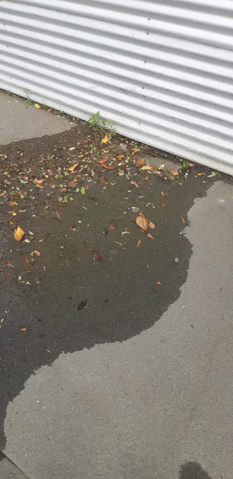 Water Supply, a report photo