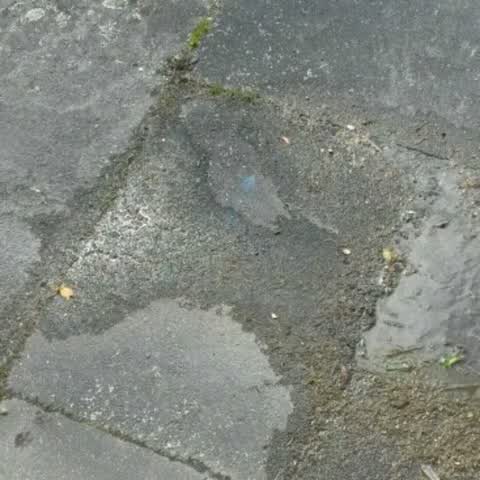 Water Supply, a report photo
