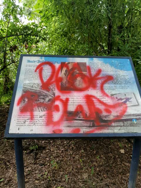 Graffiti, a report photo