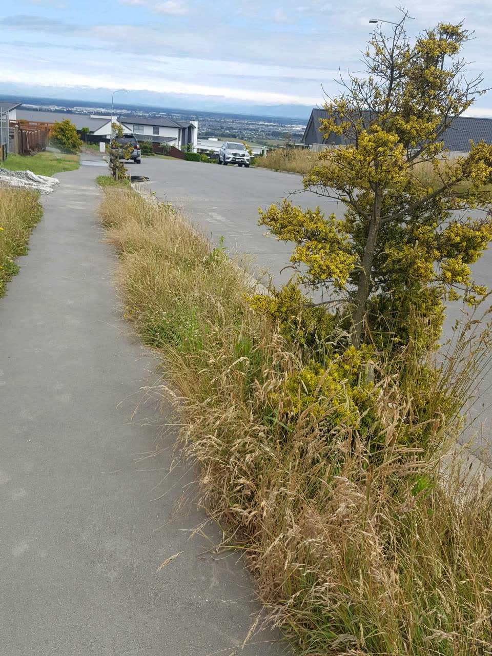 The photograph attached to this parks report