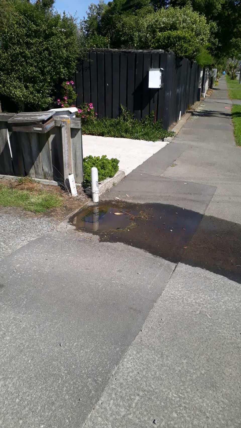 The photograph attached to this water supply report