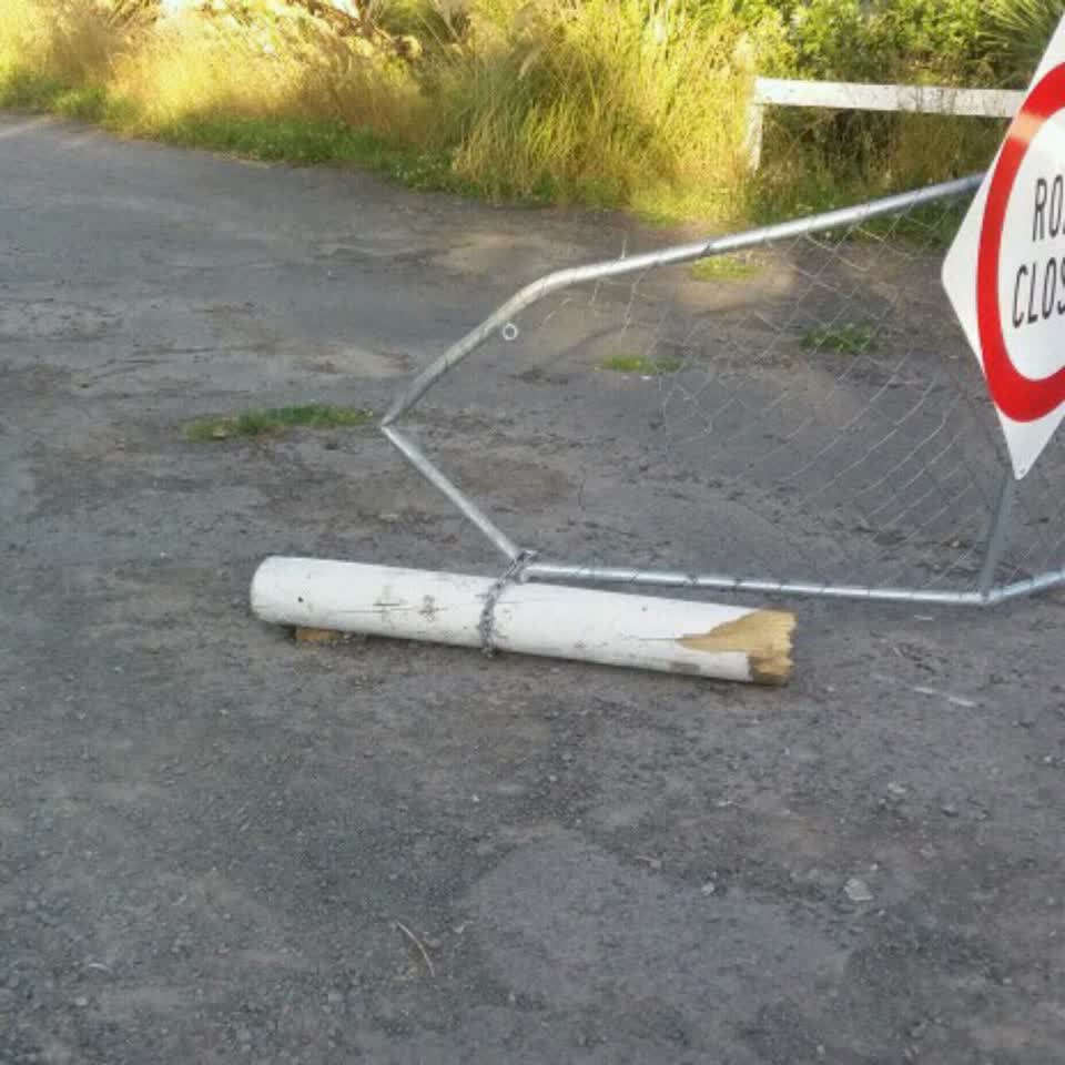 The photograph attached to this parks report