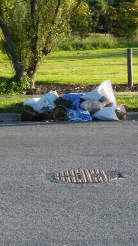 Rubbish/Recycling, a report photo