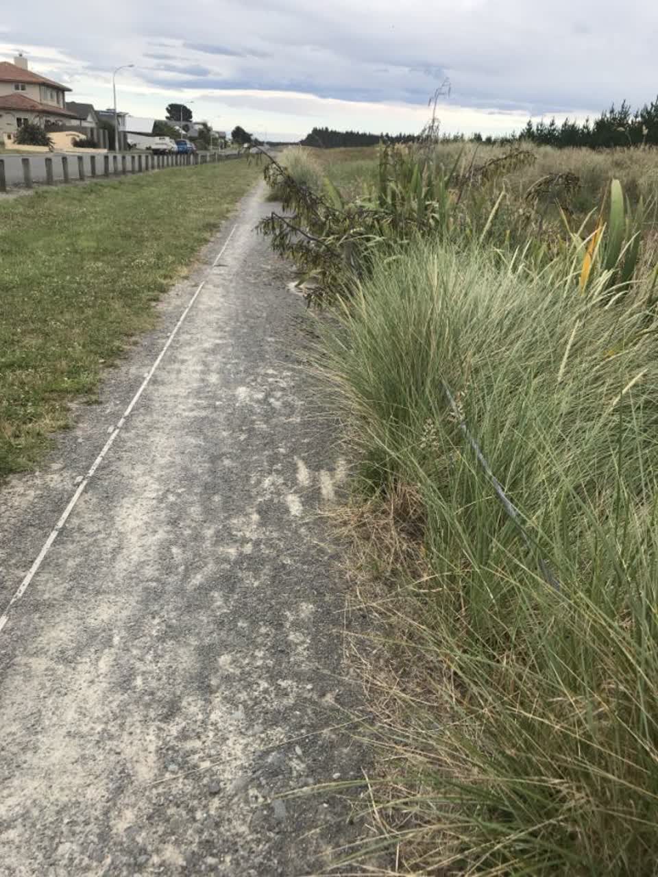 The photograph attached to this parks report