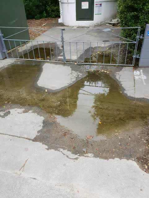Flooding, a report photo