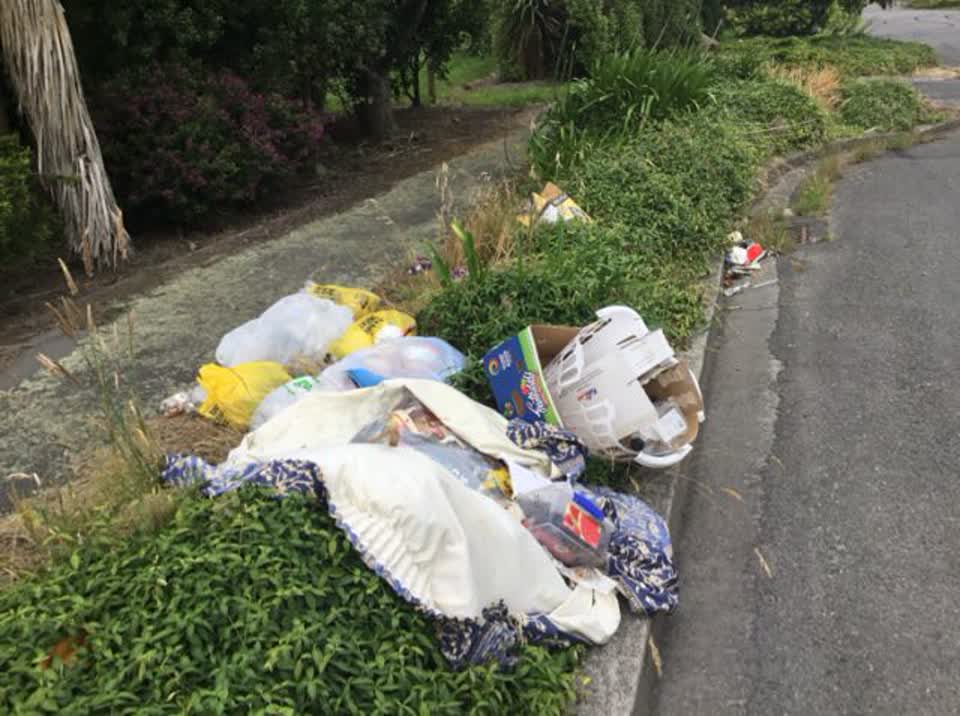 The photograph attached to this rubbish/recycling report