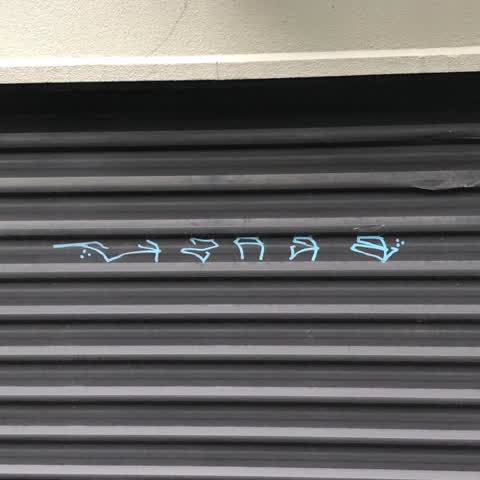 Graffiti, a report photo