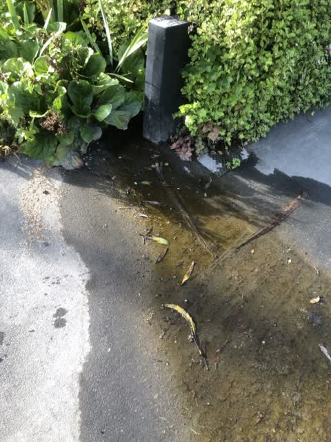 Water Supply, a report photo