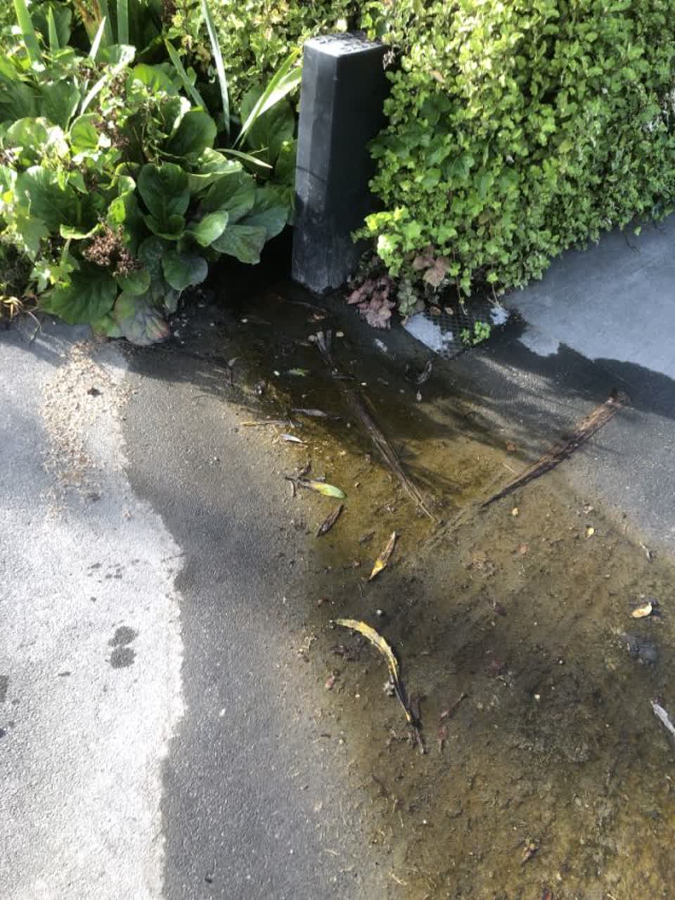 The photograph attached to this water supply report