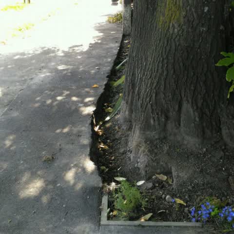 Roading/Streets, a report photo