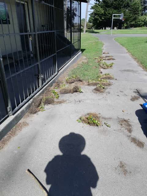 Parks, a report photo
