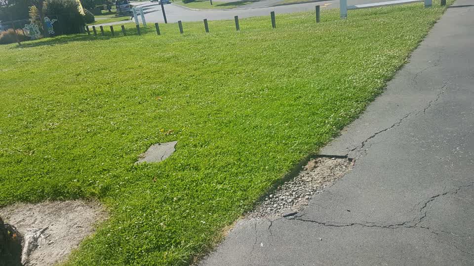 The photograph attached to this parks report