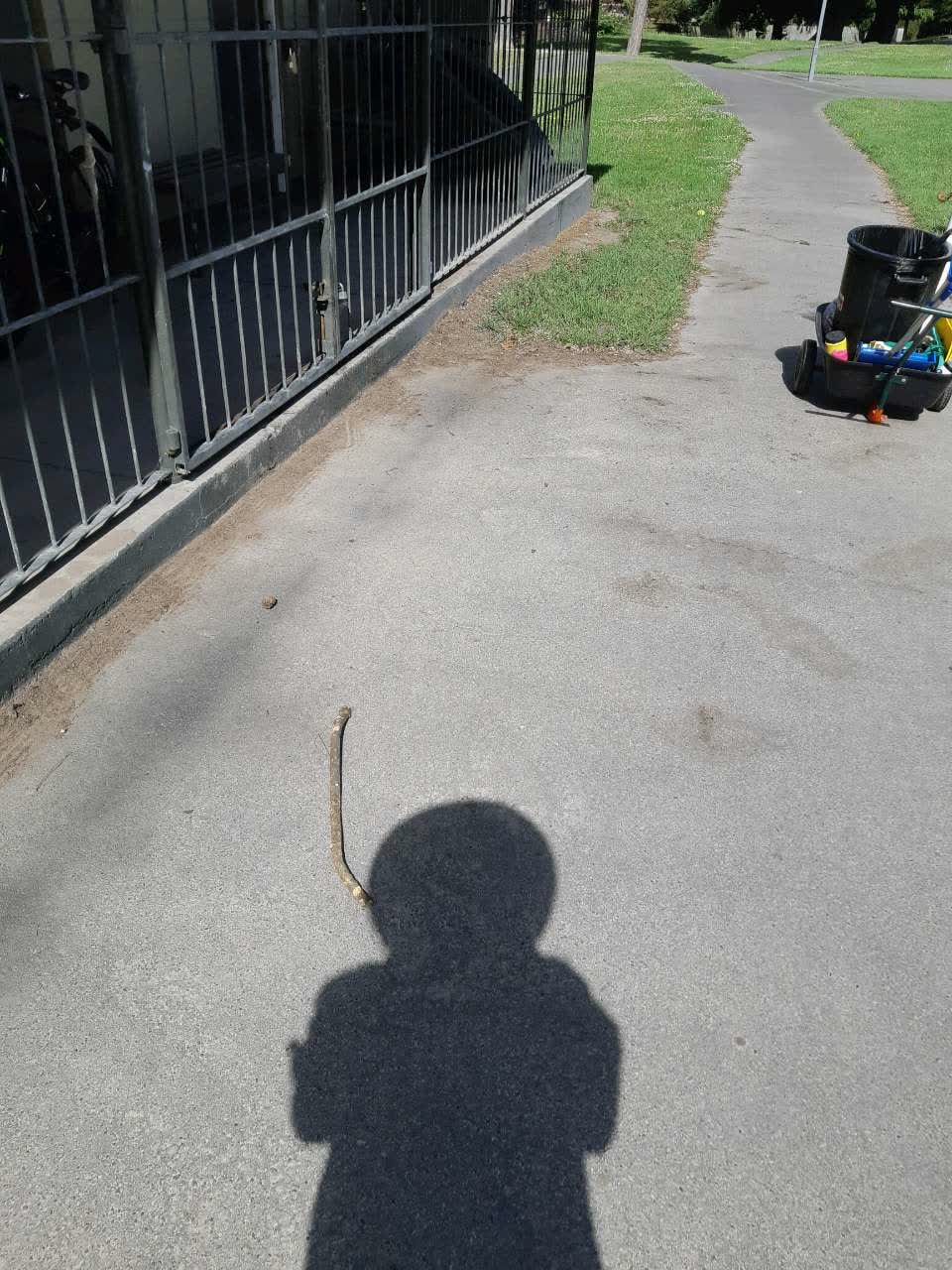 The photograph attached to this parks report