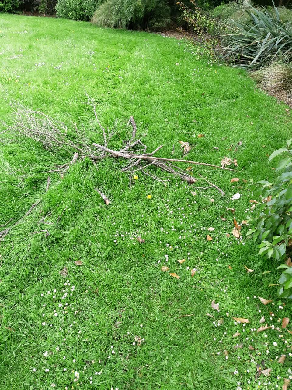 The photograph attached to this parks report