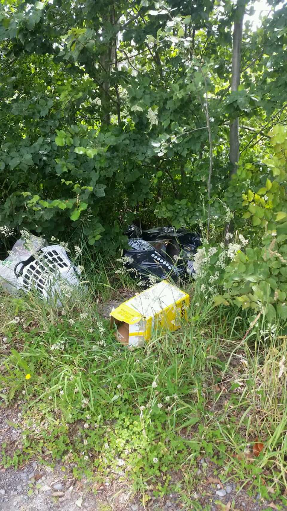 The photograph attached to this rubbish/recycling report