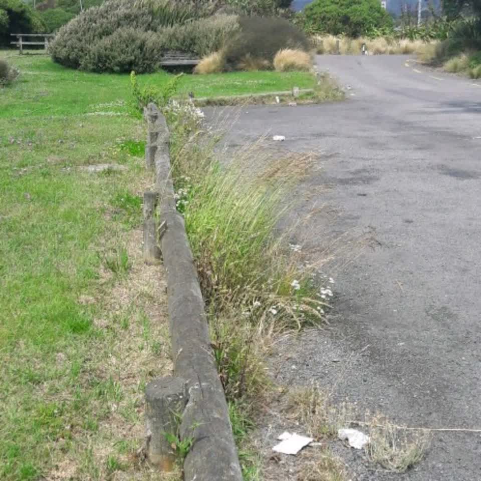 The photograph attached to this parks report