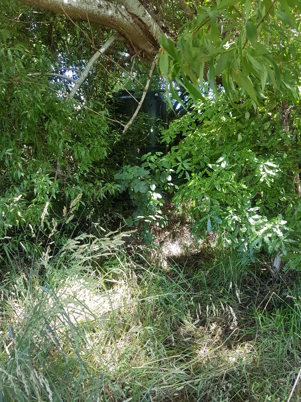 The photograph attached to this parks report