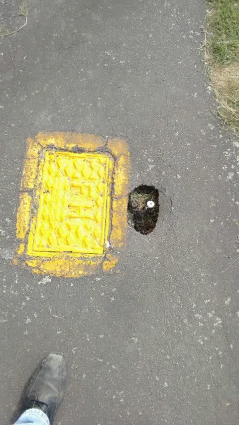Roading/Streets, a report photo