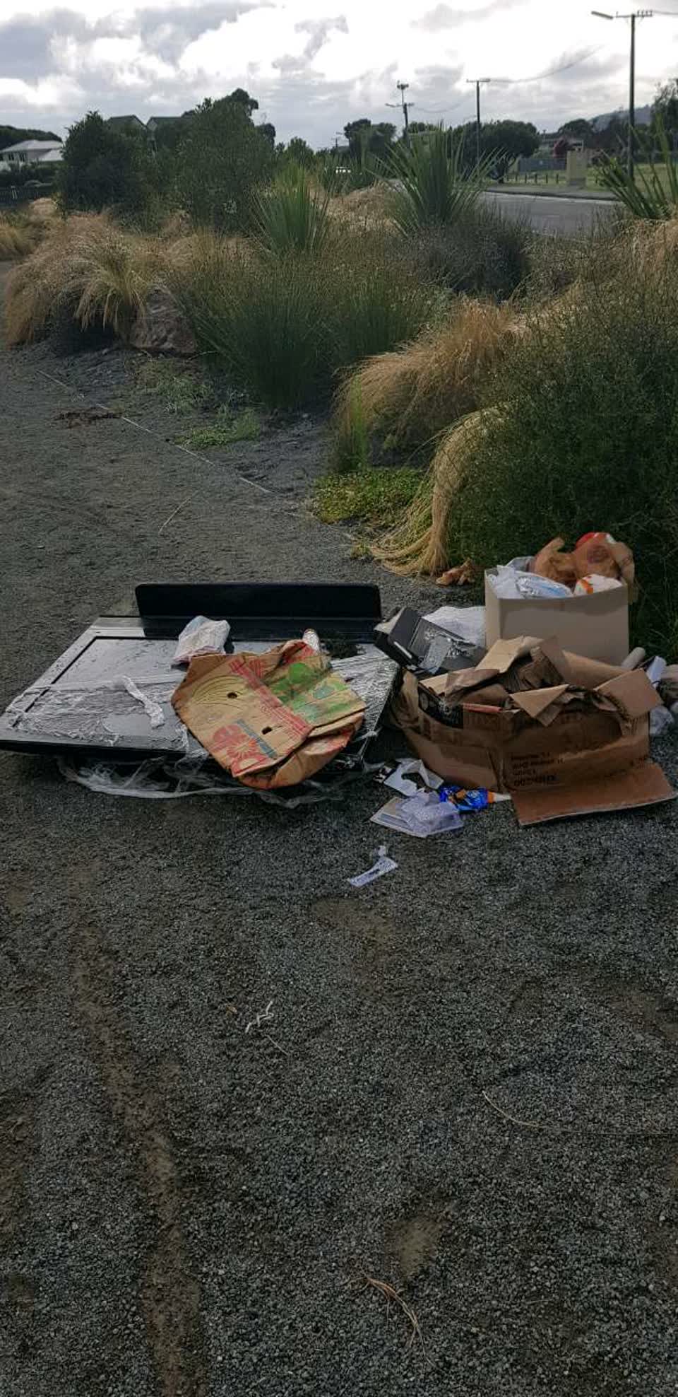 The photograph attached to this rubbish/recycling report