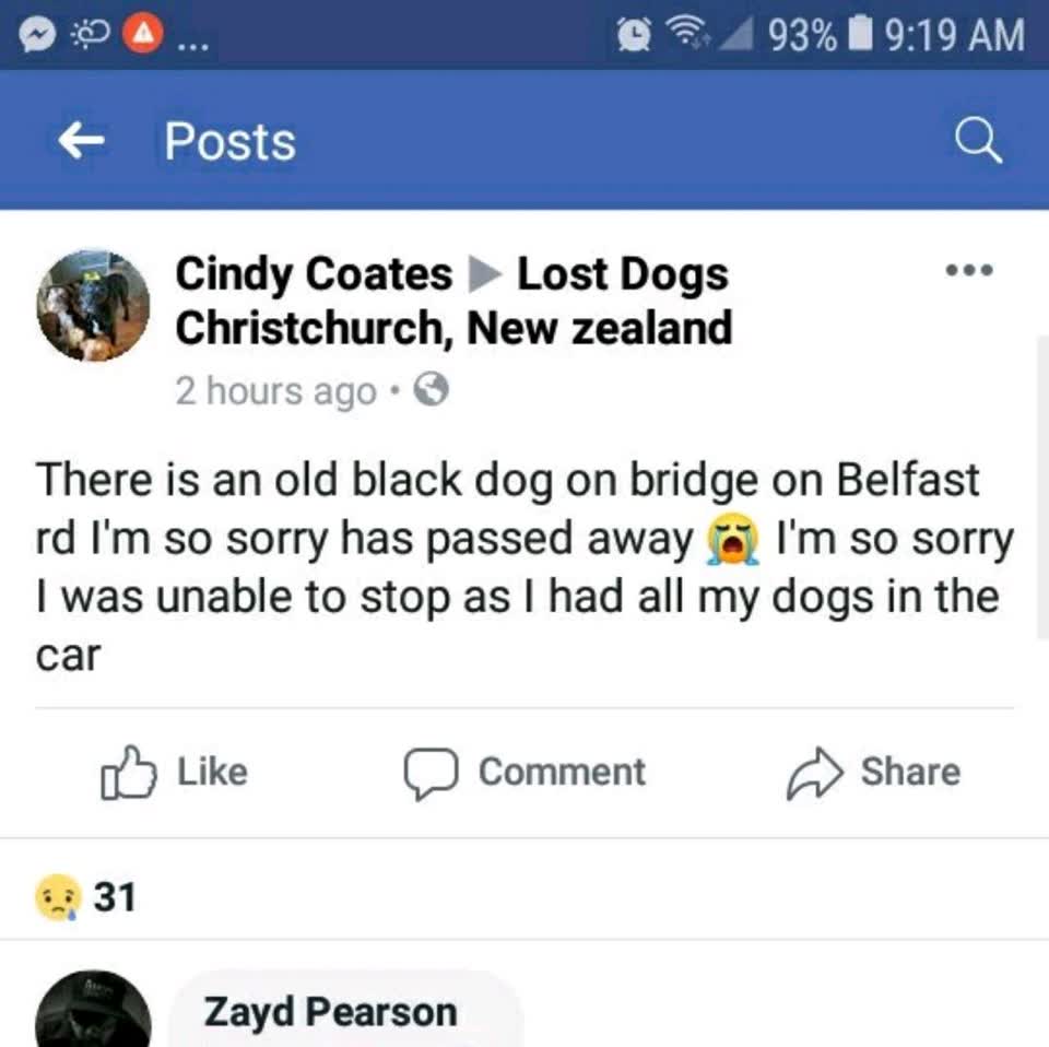 The photograph attached to this roading/streets report
