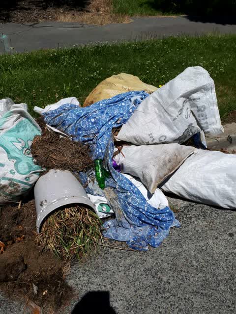 Rubbish/Recycling, a report photo