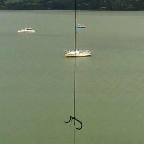Parks, a report photo