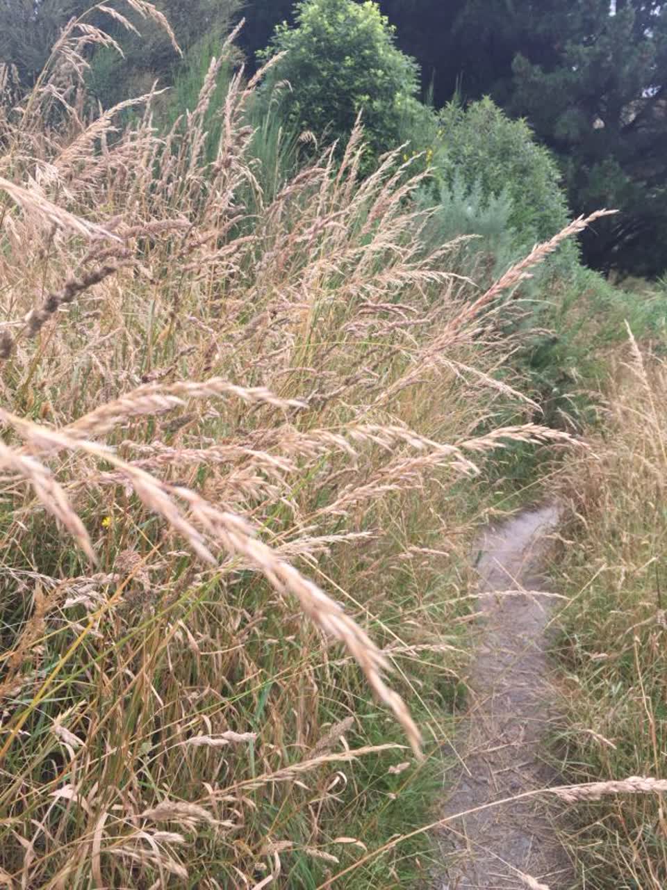 The photograph attached to this parks report