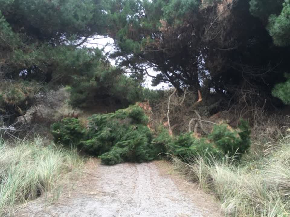 The photograph attached to this parks report