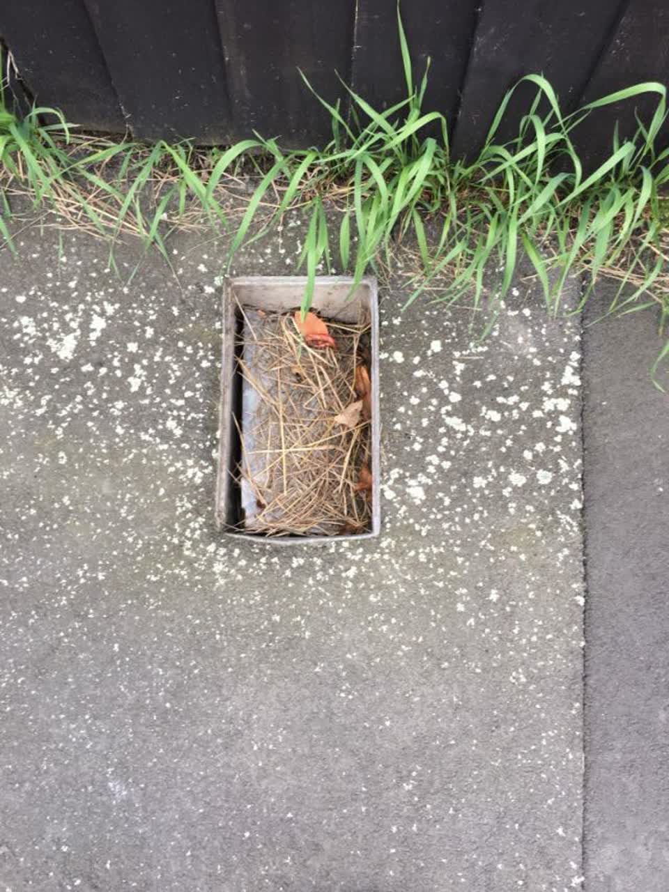 The photograph attached to this water supply report