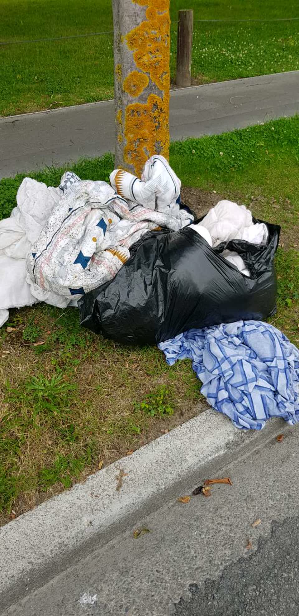 The photograph attached to this rubbish/recycling report