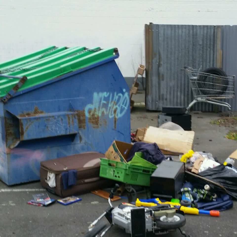 The photograph attached to this rubbish/recycling report