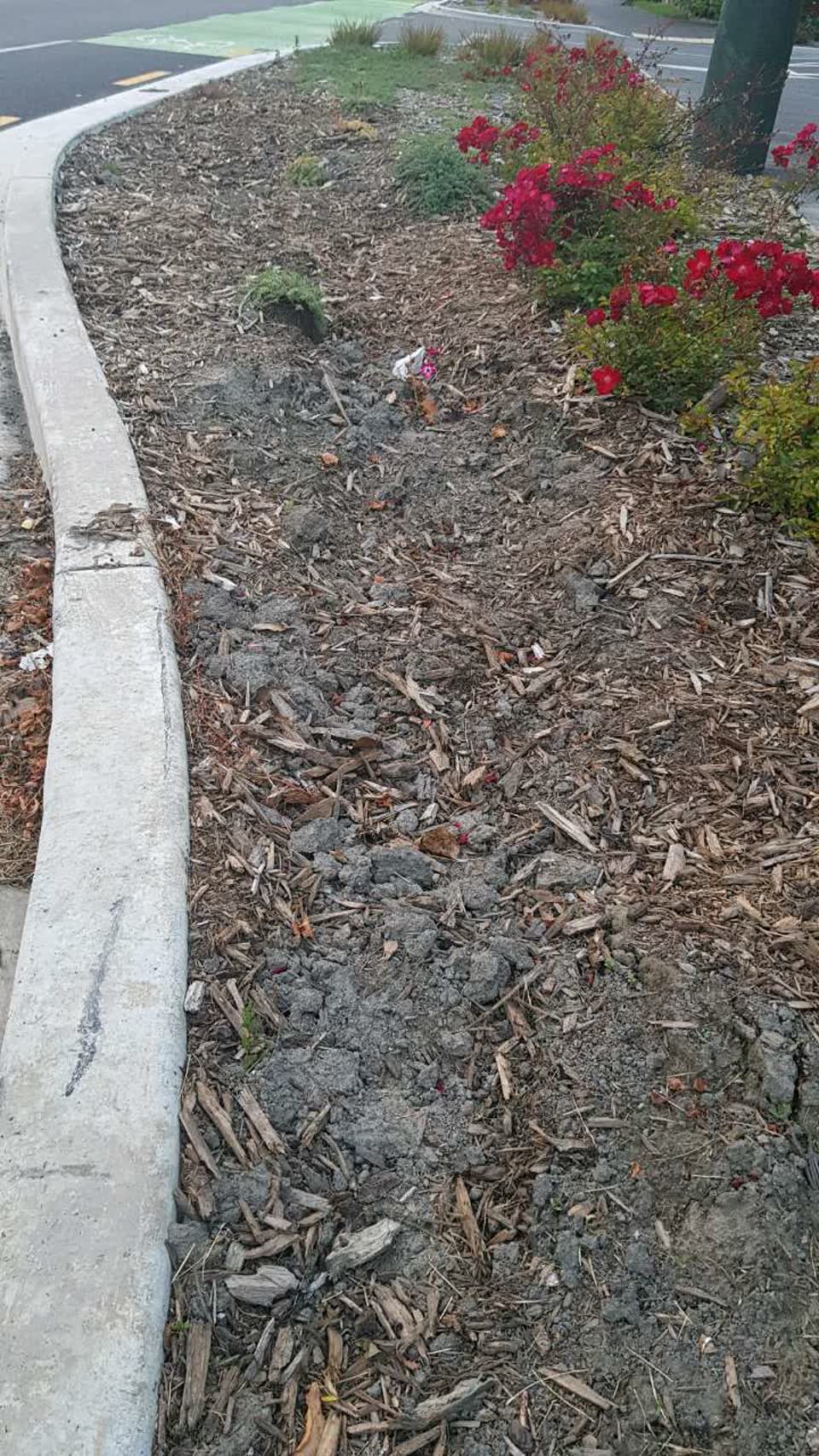 The photograph attached to this roading/streets report