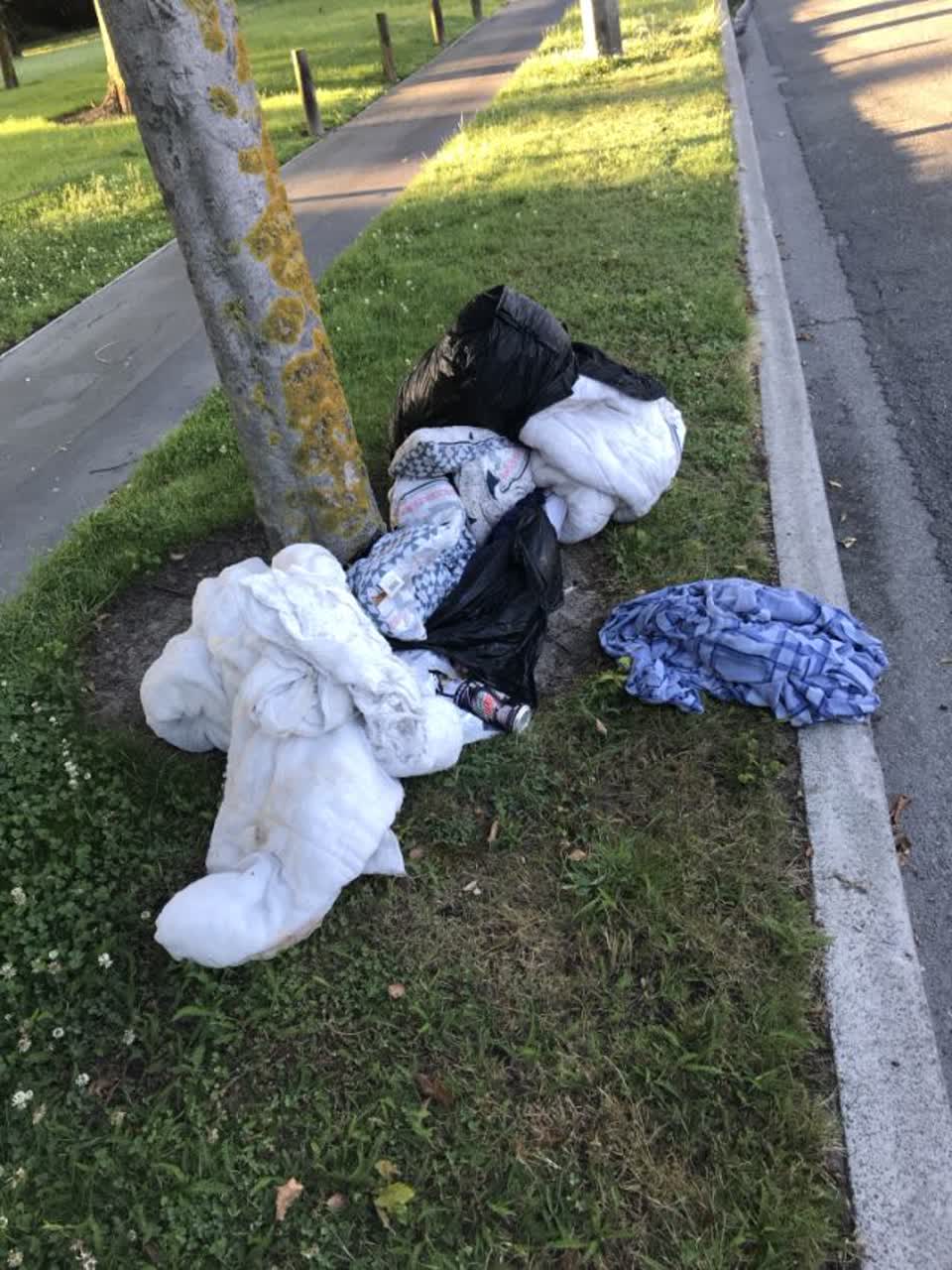 The photograph attached to this rubbish/recycling report